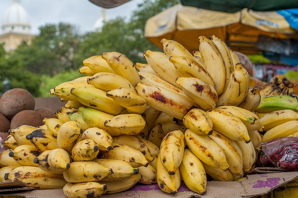 Bunch of bananas
