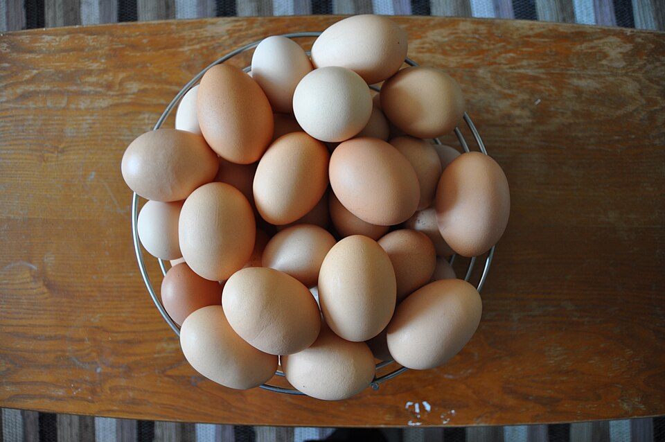 Bowl of fresh eggs