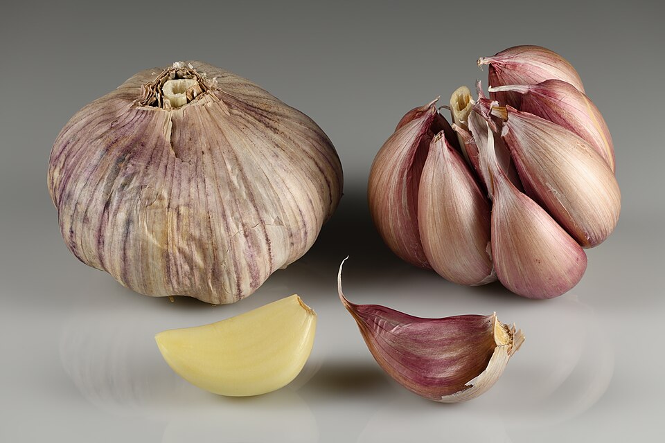 Fresh garlic bulbs and cloves